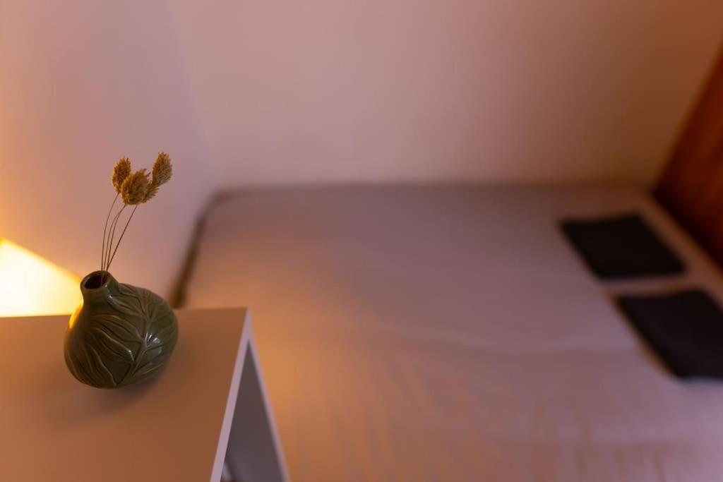 Studio Voltaire Au Coeur De Jaures Belfort Eksteriør billede